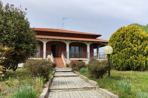 Dettagli